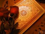 modestman_abdo@hotmail.com